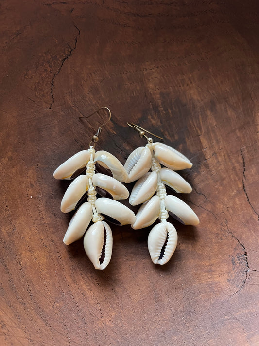 Leaf Shaped Cowrie Shell Earrings